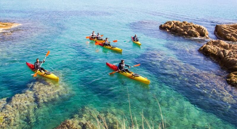 Costa Brava: Sea Caves Kayaking and Snorkeling Tour - Costa Brava: Sea Caves Kayaking and Snorkeling Tour — A Deep Dive into Catalonia’s Coastal Gems