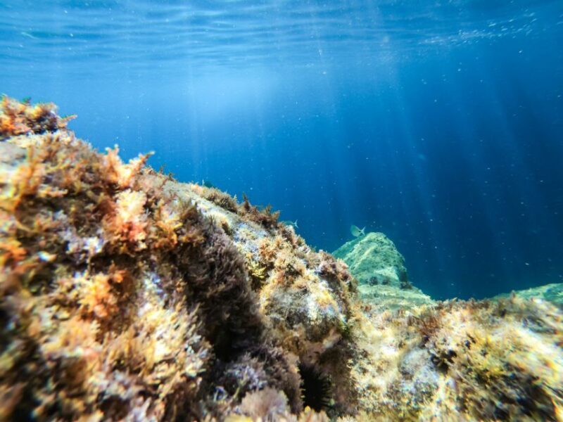 Costa Brava: Sea Caves Kayaking and Snorkeling Tour - Who Should Consider This Tour?