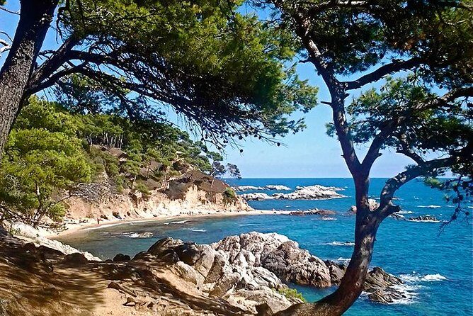 Costa Brava Small Group Hiking Tour from Barcelona - Key Points