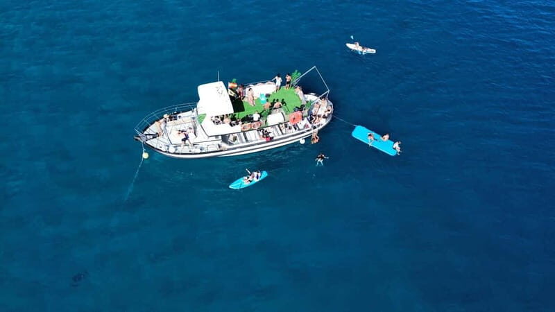 Costa Calma: Fuerteventura Dolphin Watching Boat Tour - Final Thoughts: Is It Worth It?