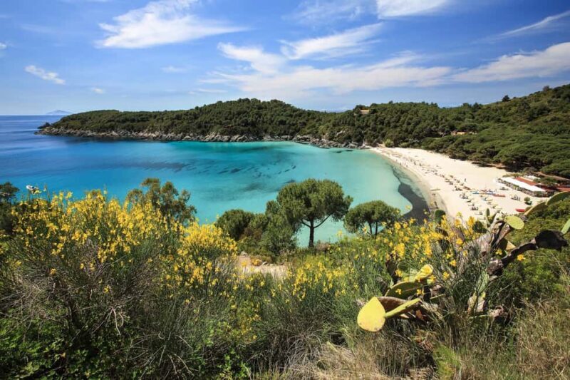 Costa del Sole Elba Island: Tour from Portoferraio and Lacona - Why You’ll Love This Tour