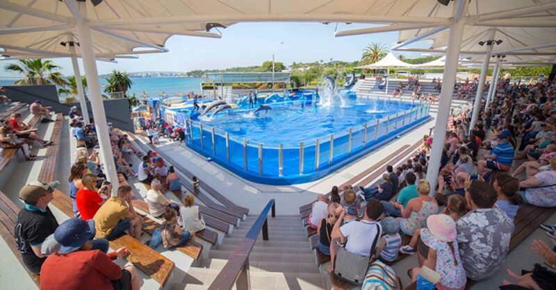Costa d'en Blanes: Entry Ticket for Marineland Mallorca - An Honest Look at Marineland Mallorca