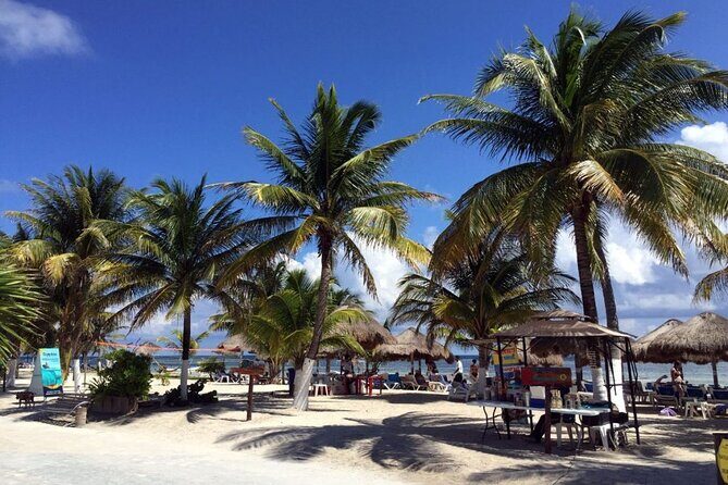 Costa Maya All Included Beach Break from Cruise Port - Final Thoughts