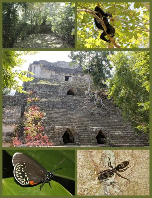 Costa Maya: Chacchoben Mayan Temples - Beach Time in Mahahual: The Caribbean’s Best-Kept Secret