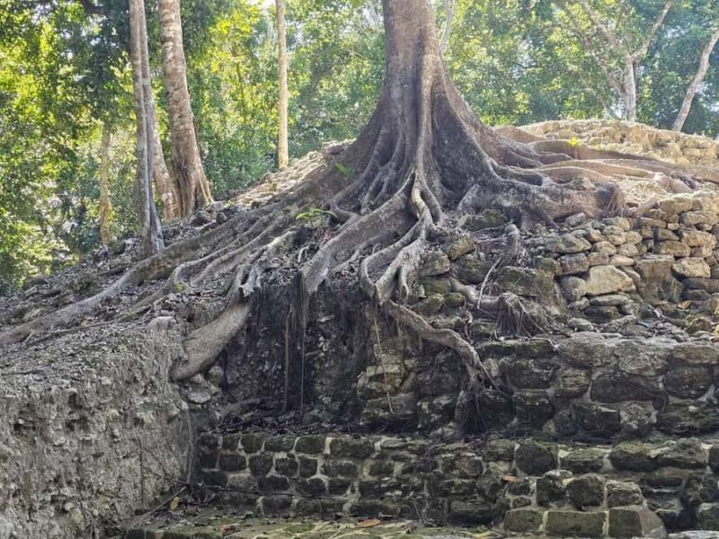 Costa Maya: Chacchoben ruins exclusive tour - Final Thoughts
