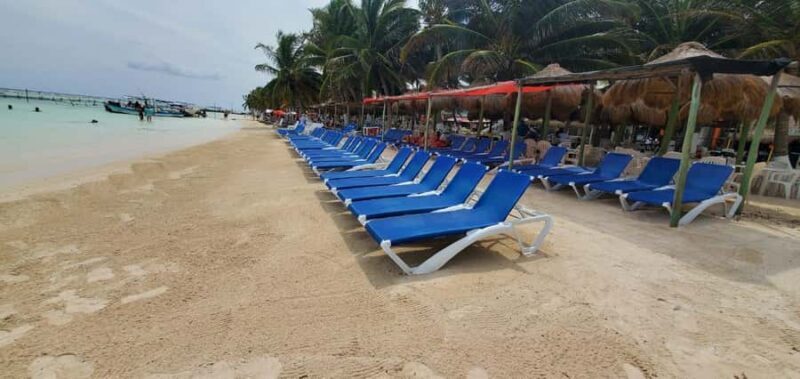 Costa Maya: Chacchoben Ruins Shore Excursion & Fruit Tasting - What Travelers Say