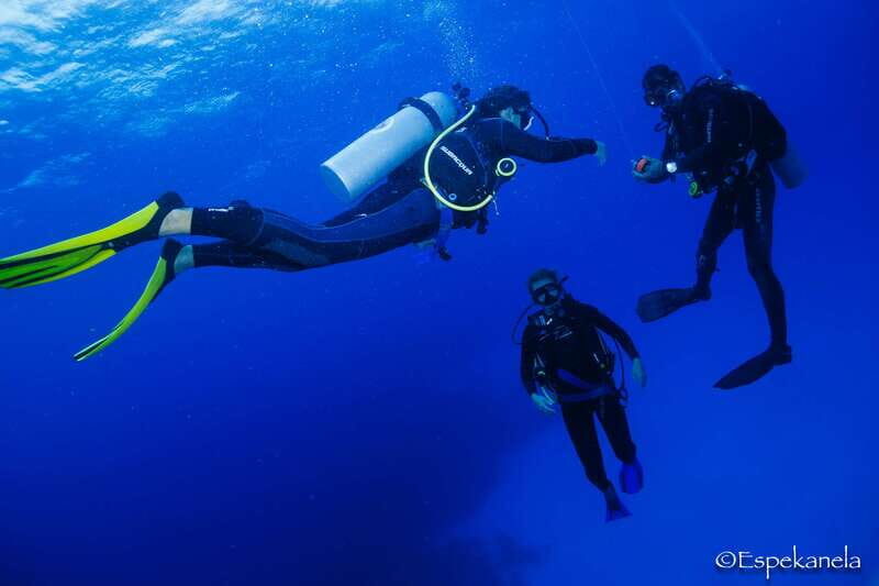 Costa Maya: Discover Scuba Diving Reef Experience - Who Should Consider This Experience?