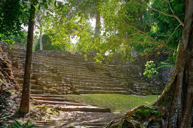 Costa Maya: Exclusive Chacchoben Ruins Premier Tour - Discovering Chacchoben: Pure Mayan Heritage