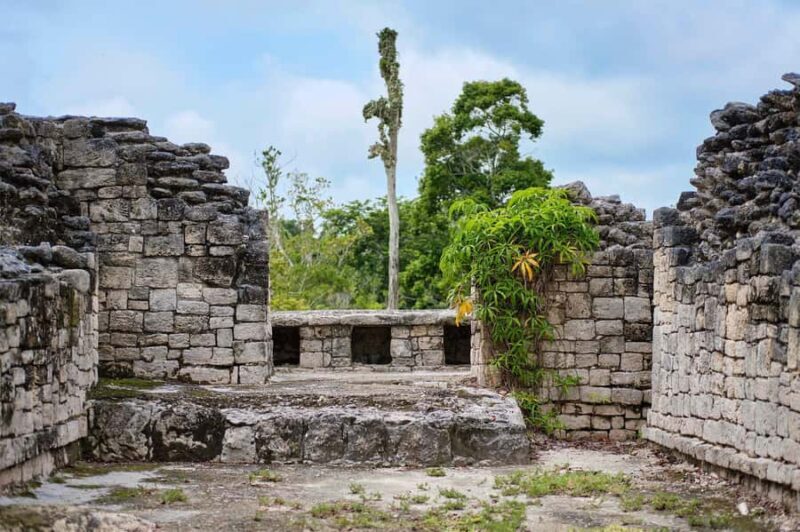 Costa Maya: Exclusive Kohunlich Ruins Premier Tour - Key Points