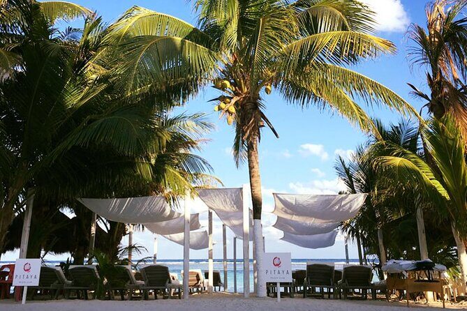 Costa Maya - Pitaya Beach Open Bar, Snorkeling, Massage and Lunch - A Closer Look at the Experience