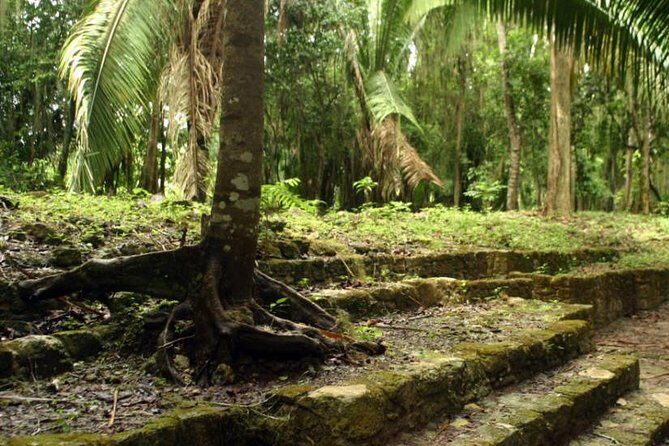 Costa Maya Shore Excursion: Chacchoben Day Trip - Why This Tour Works for Most Travelers