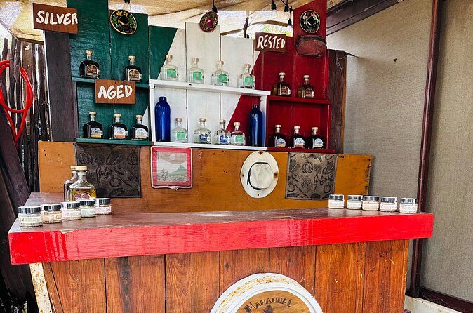 Costa Maya, tequila and beach club with open bar - Who Should Consider This Tour?