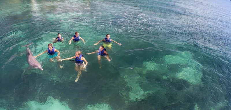 Costa Mujeres: Swim with Dolphins - A Detailed Look at the Experience