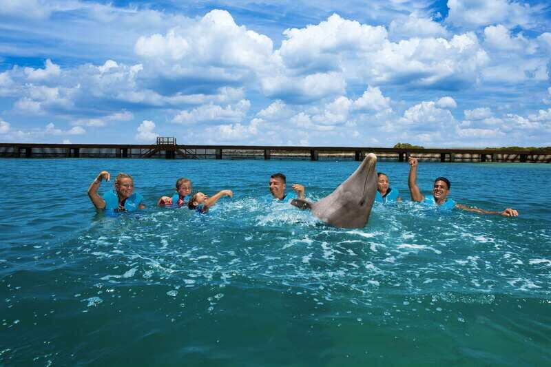 Costa Mujeres: Swim with Dolphins - Final Thoughts