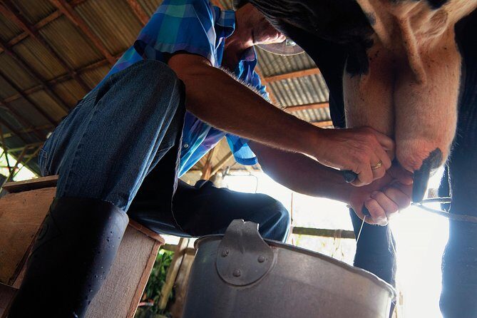 Costa Rica Campesino Farm Tour - An In-Depth Look at the Costa Rica Campesino Farm Tour