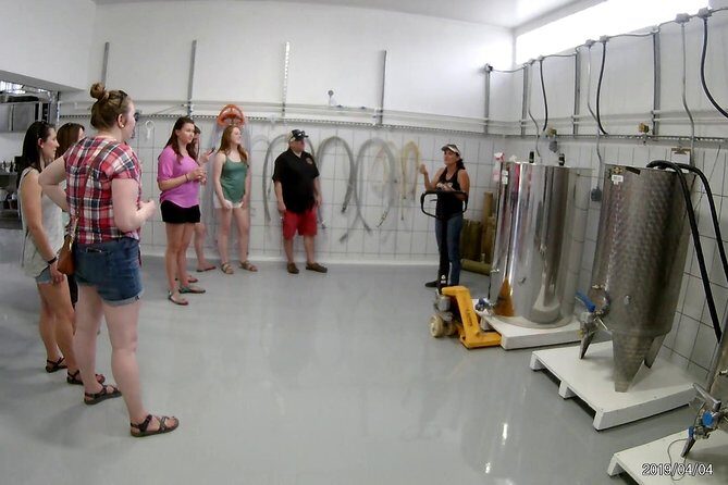 Costa Rica Central Valley Wine, Beer, and Mead Tour and Tasting - Exploring the Costa Rica Central Valley Wine, Beer, and Mead Tour