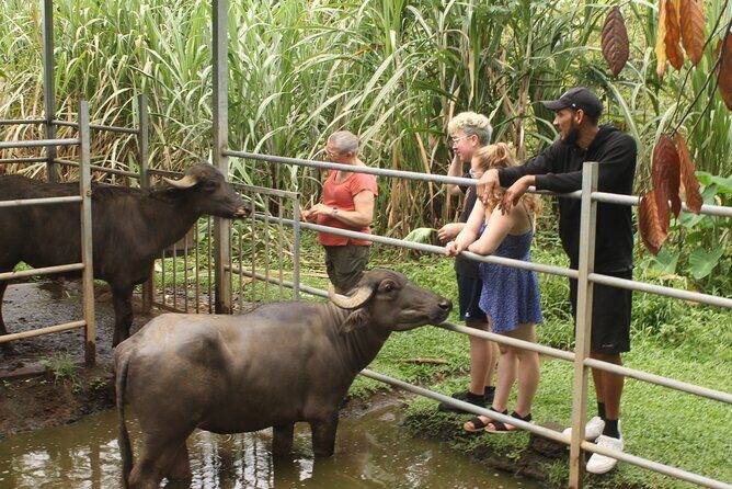 Costa Rica Descents Organic Farm - Key Points