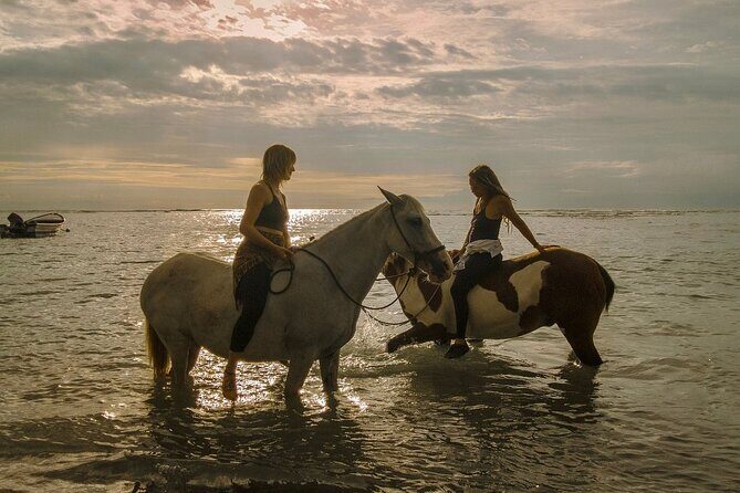 Costa Rica Horseback Riding Experience - Key Points