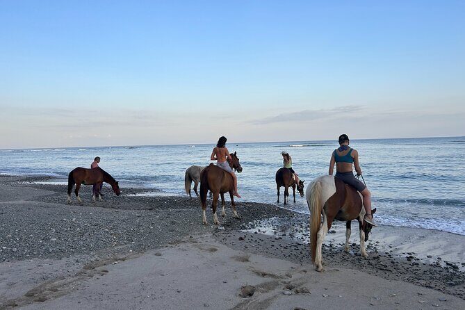 Costa Rica Horseback Riding Experience - The Sum Up: Is It Worth It?