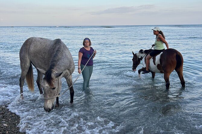 Costa Rica Horseback Riding Experience - FAQ