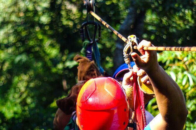 Costa Rica Monkey Jungle Zipline from Tamarindo - Key Points