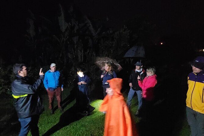 Costa Rica Night Walk Tour - An In-Depth Look at the Monteverde Night Walk
