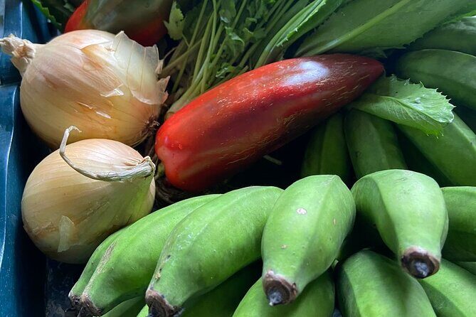 Costa Rican cuisine Cooking Class at Rancho Don Lelo - Key Points