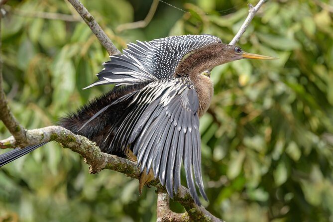 Costa Rican Wildlife: Palo Verde National Park Private Tour - Final Thoughts