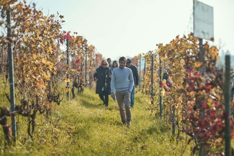 Costigliole d'Asti: Cellar tour and tasting - A Closer Look at the Experience
