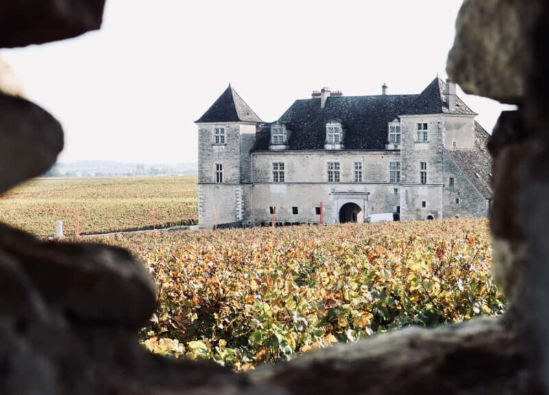 Côte de Beaune and Côte de Nuits : Private Full day Winetour - Exploring Burgundy’s Wine Regions in Depth