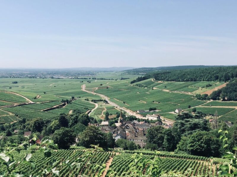 Côte de Beaune and Côte de Nuits : Private Full day Winetour - FAQ