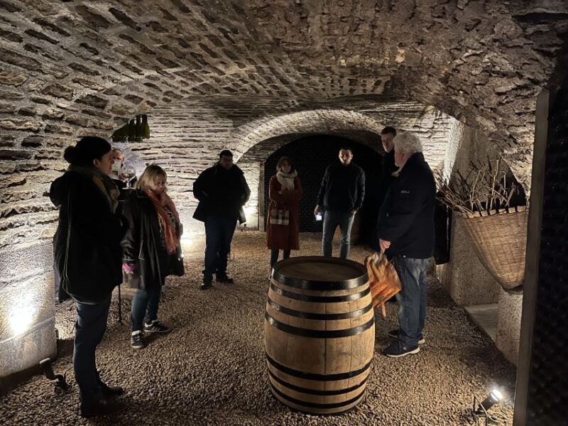 Côte de Beaune Private Local Wineries and Wine Tasting Tour - Exploring the Côte de Beaune: A Private Wine Tour That Delivers Authentic Burgundy Charm