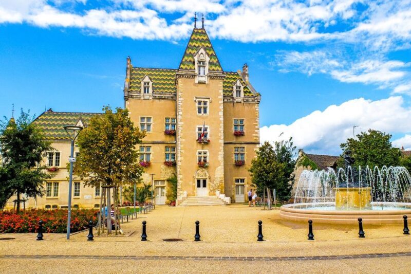 Côte de Beaune Private Local Wineries and Wine Tasting Tour - Who Will Enjoy This Tour?
