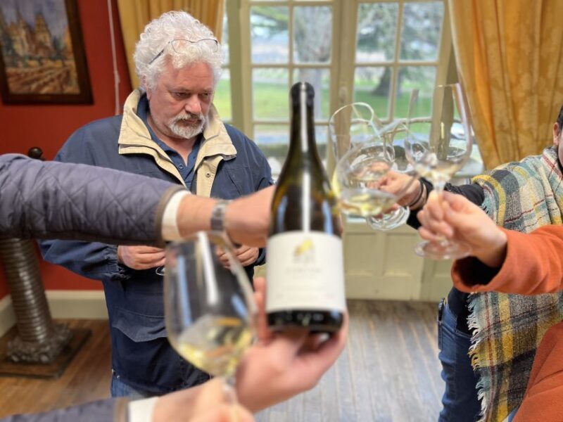 Côte de Beaune Private Local Wineries and Wine Tasting Tour - Final Thoughts