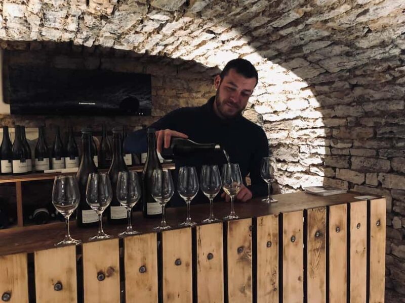 Côte de Nuits: Excursion in the heart of the vineyards - Exploring the Côte de Nuits Experience