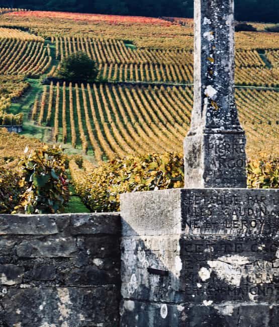 Côte de Nuits: Excursion in the heart of the vineyards - FAQ