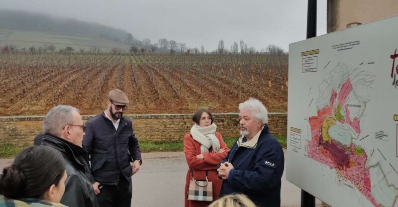 Côte de Nuits Private Local Wineries and Wine Tasting Tour - Côte de Nuits Private Local Wineries and Wine Tasting Tour: A Deep Dive into Burgundy’s Finest