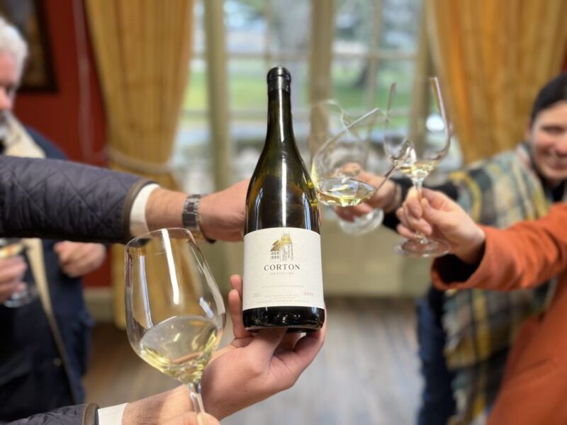 Côte de Nuits Private Local Wineries and Wine Tasting Tour - Concluding Remarks