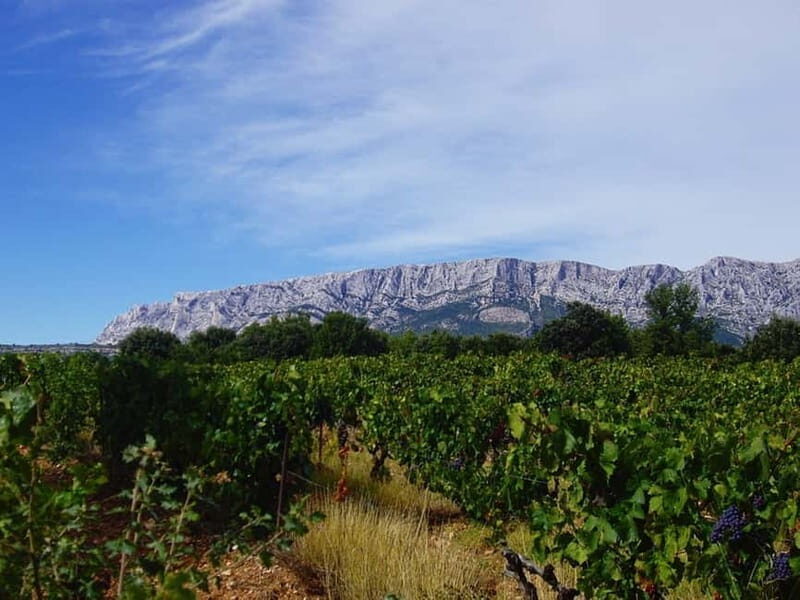 Coteaux d'Aix: Ste Victoire Wine Tour & Cezanne route - Who Will Love This Tour?