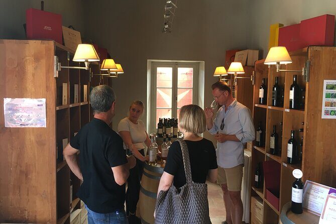 Côtes de Provence Small Group Day Trip with Winery Visits & Tastings from Nice - The Sum Up: Who Should Consider This Tour?