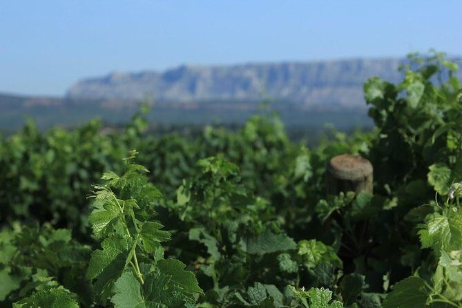 Cotes de Provence Wine Tour from Aix-en-Provence - A Closer Look at the Experience