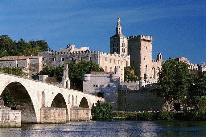 Côtes du Rhône Wine tour: Avignon, Palace of the Popes - A Deep Dive into the Tour Experience