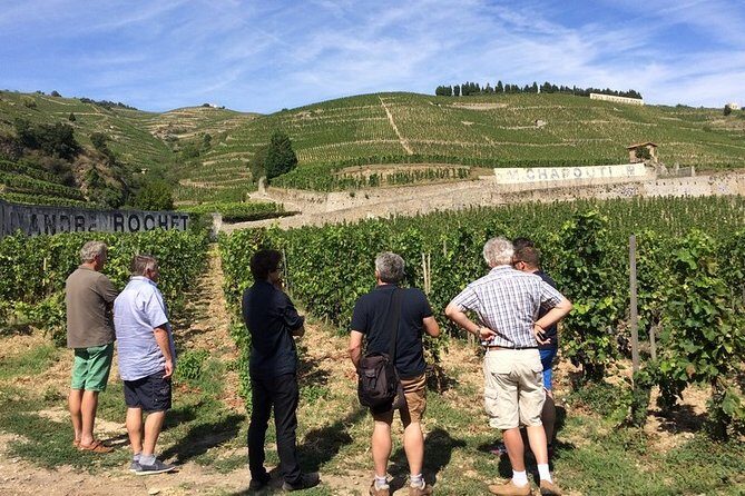 Cotes du Rhone Wine Tour - Private Tour - Full Day From Lyon - A Deep Dive into the Rhône Valley Wine Tour