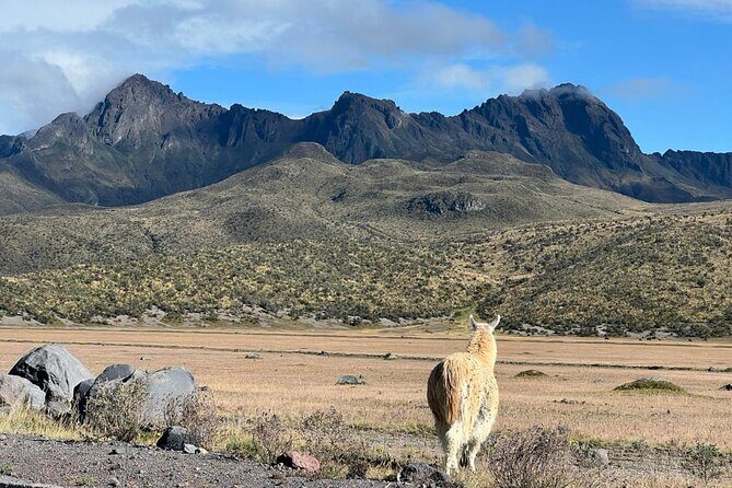 Cotopaxi and Baños Full Day Adventure from Quito - Who Should Consider This Tour?