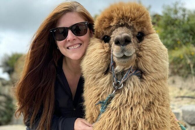 Cotopaxi and Quilotoa Full Day from Quito all included - Discover Ecuador’s Majestic Volcanoes and Crater Lakes in a Single Day