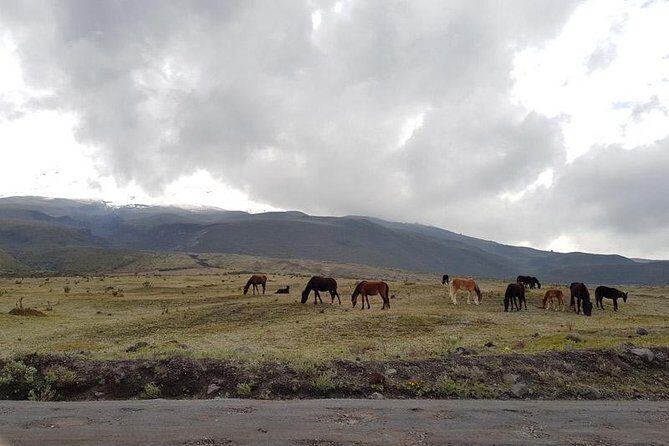 Cotopaxi Bike Tour from Quito  Explore the Volcano by Bike - The Sum Up
