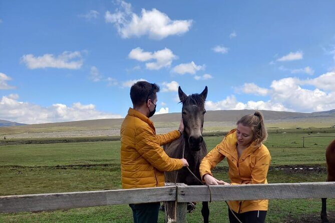 Cotopaxi Horseback Riding Tour from Quito Andes Adventure - Why This Tour Delivers Value