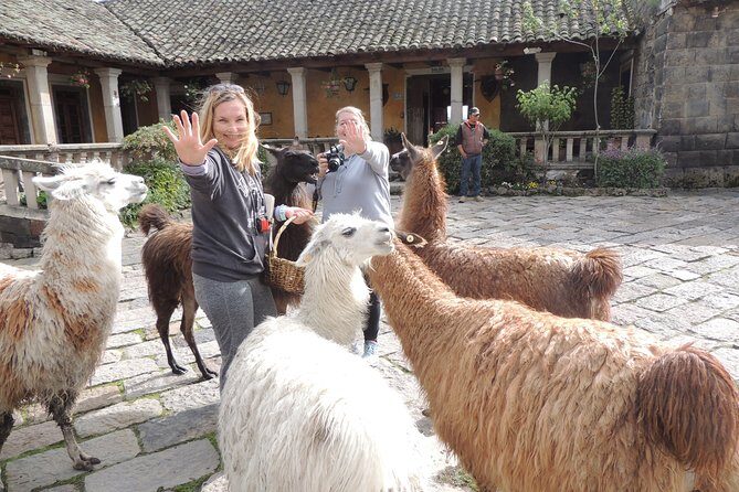 Cotopaxi National Park and Inca Ruins Day Trip - Experience the Best of Ecuador in a Day: Cotopaxi National Park and Inca Ruins Tour