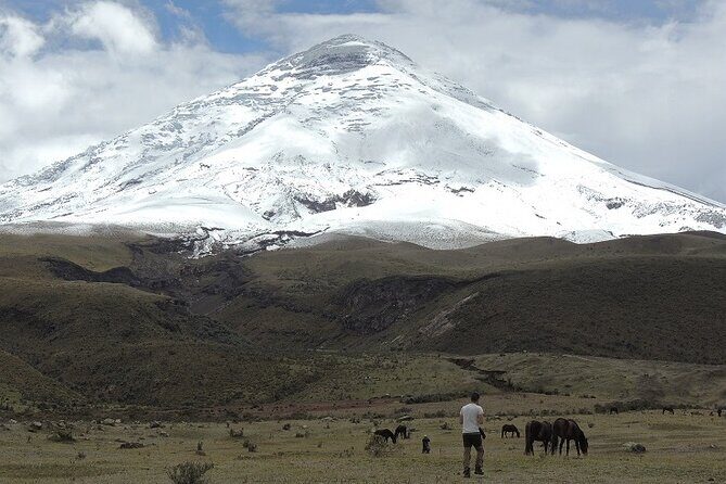 Cotopaxi National Park and Inca Ruins Day Trip - Key Points