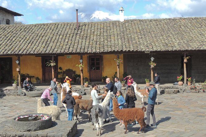 Cotopaxi National Park and Inca Ruins Day Trip - Who Will Love This Tour?